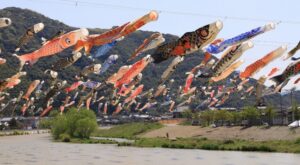 紫川こいのぼり